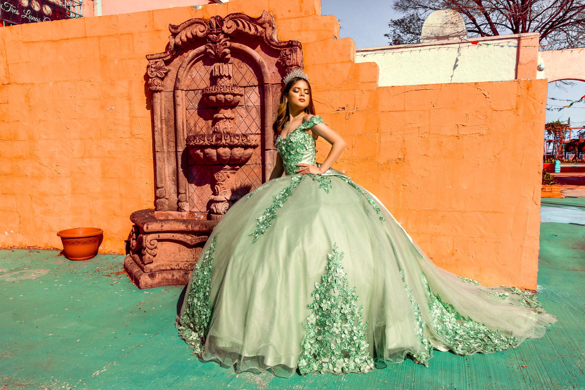 Dream quinceanera dresses shop